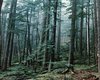 Wald Motten  Gro�e Anzahl aktueller Bauernh�user, Bauernh�fe, Reiterh�fe, alte M�hlen - hier finden auch Sie IHR Bauernhaus, Bauernhof, Reiterhof oder alte M�hle!